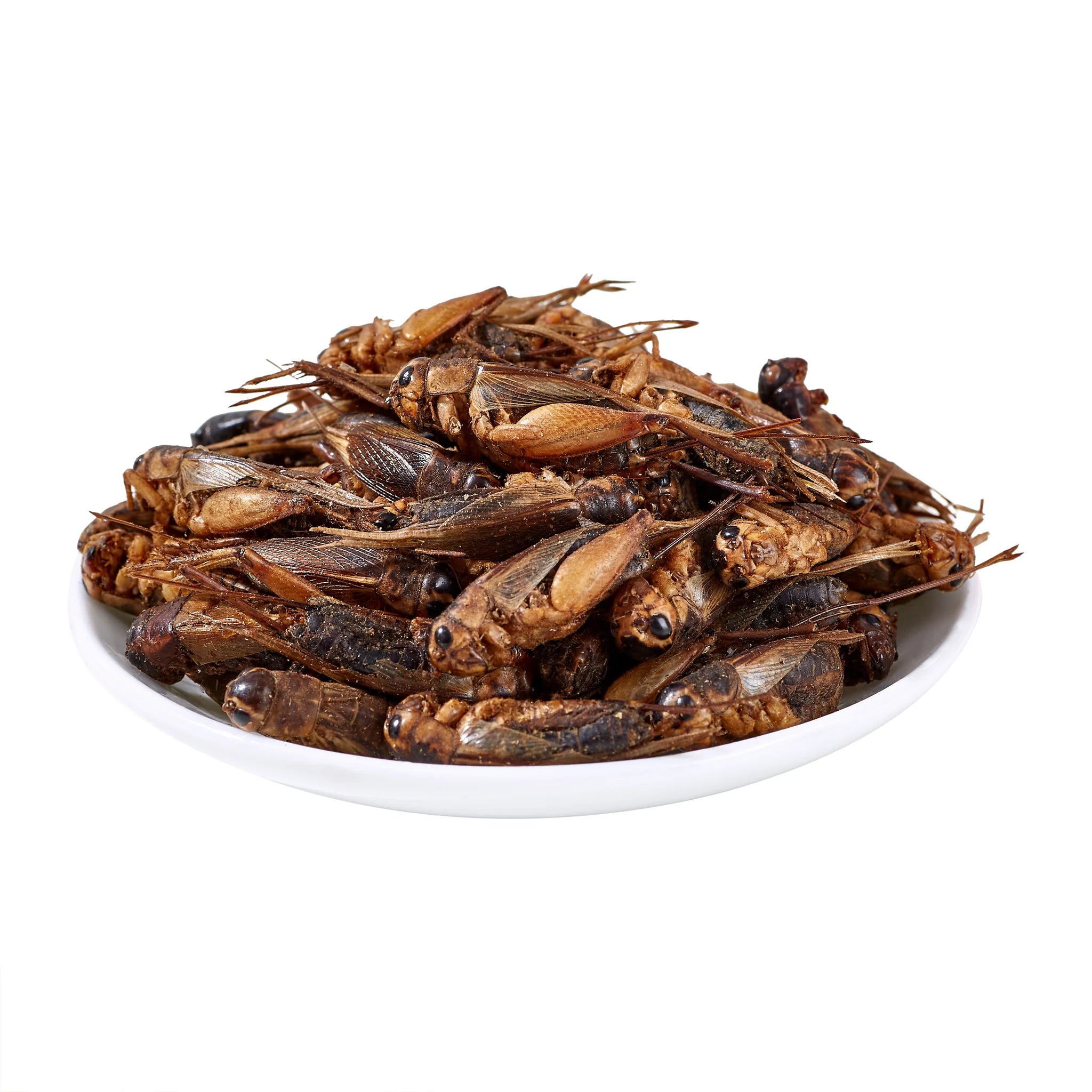 LuckyQworms 1lb Dried Crickets – High-Protein Natural Insect Feed for Chickens, Birds, Reptiles & Fish | All-Natural, Resealable Freeze-Dried Pet Treats
