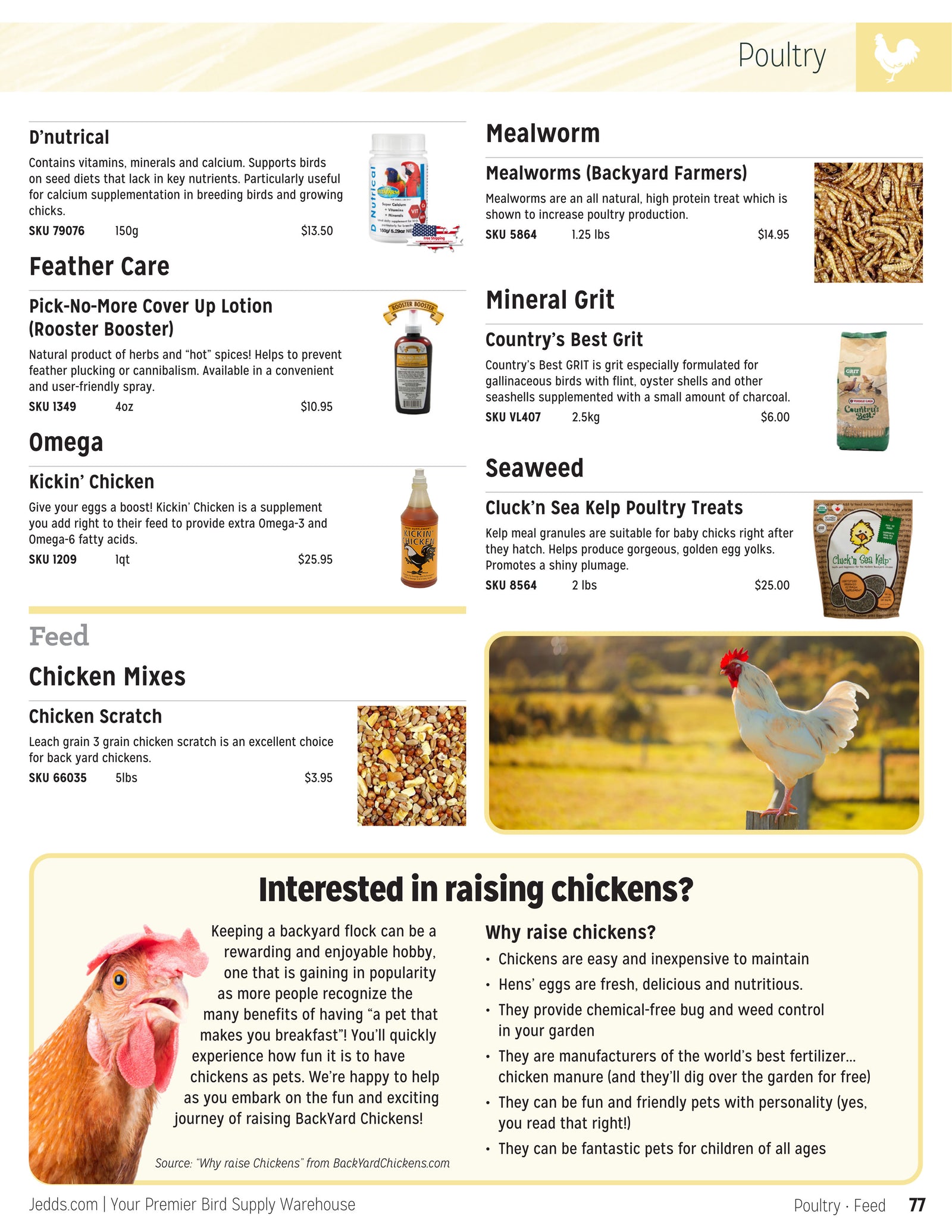 Jedds Catalog (20242025)