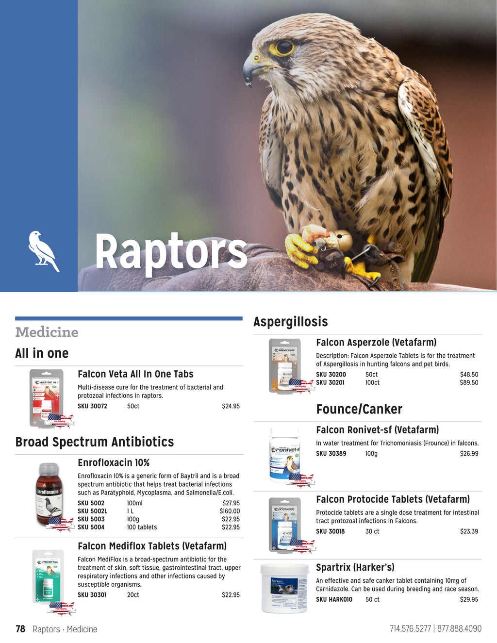 Jedds Catalog (20242025)