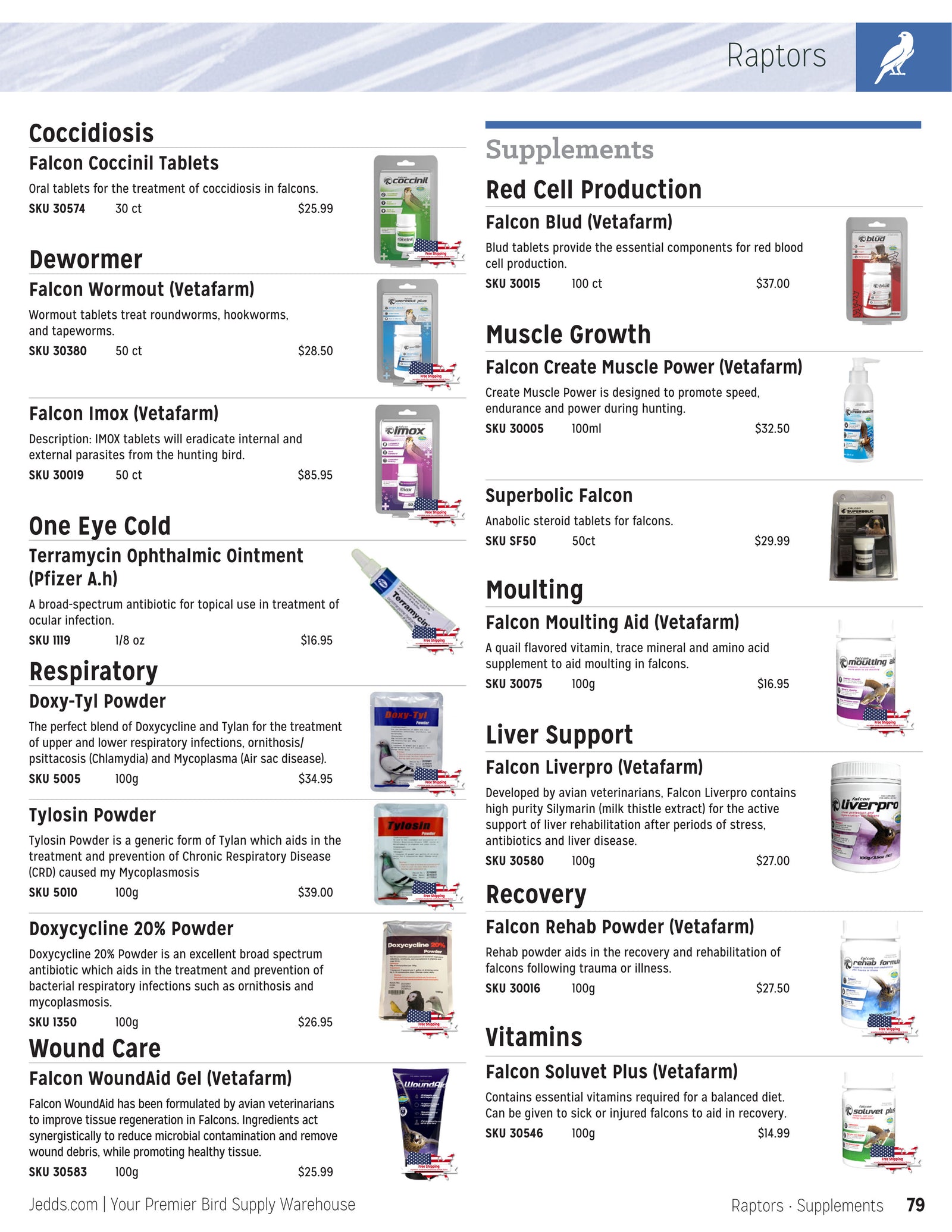 Jedds Catalog (20242025)