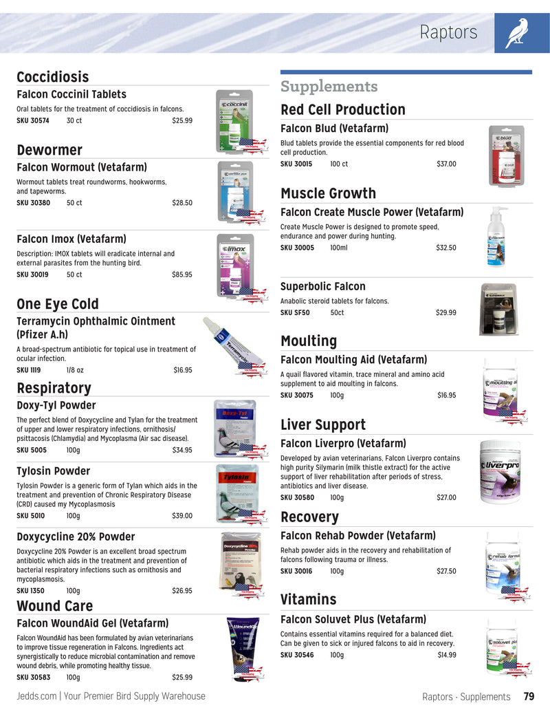 Jedds Catalog (20242025)