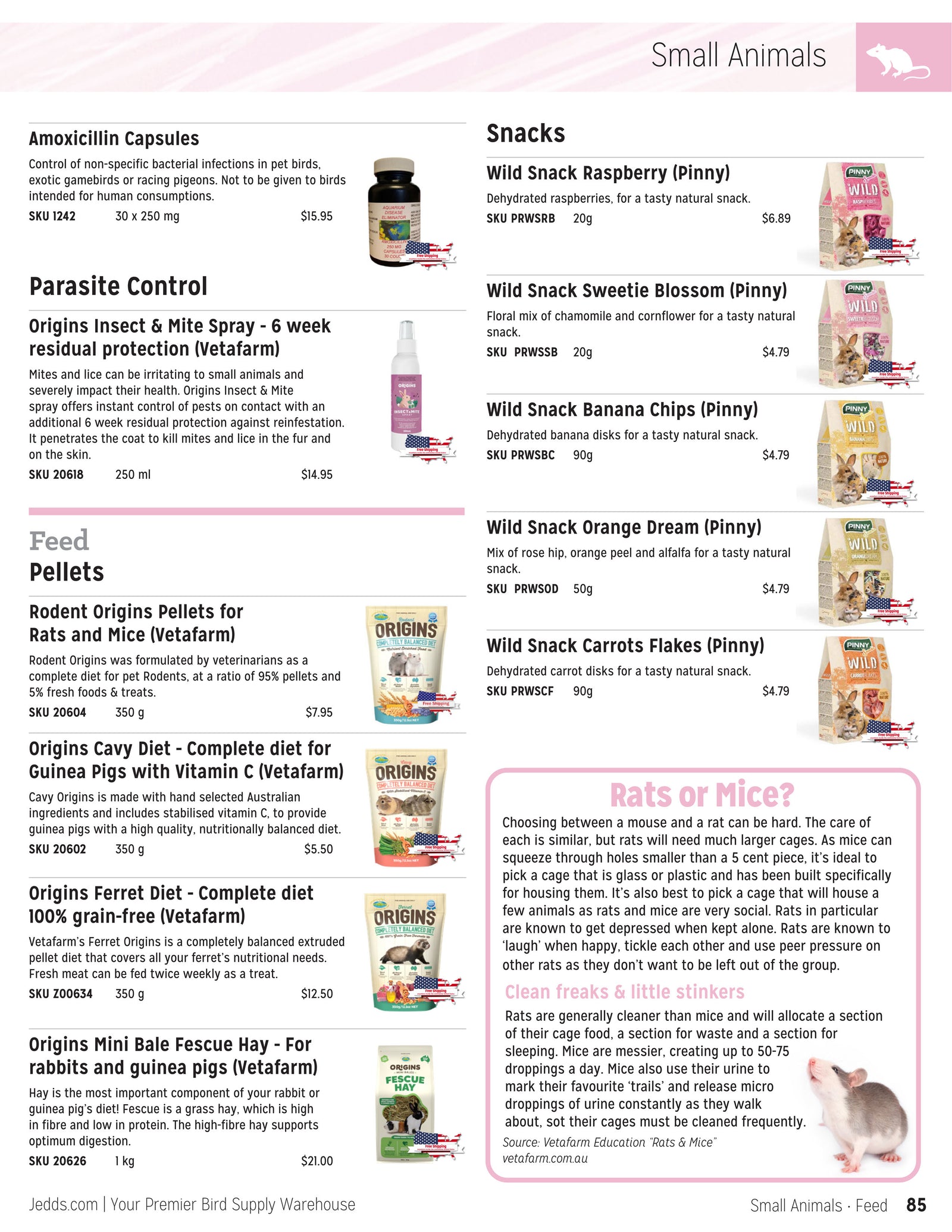 Jedds Catalog (20242025)