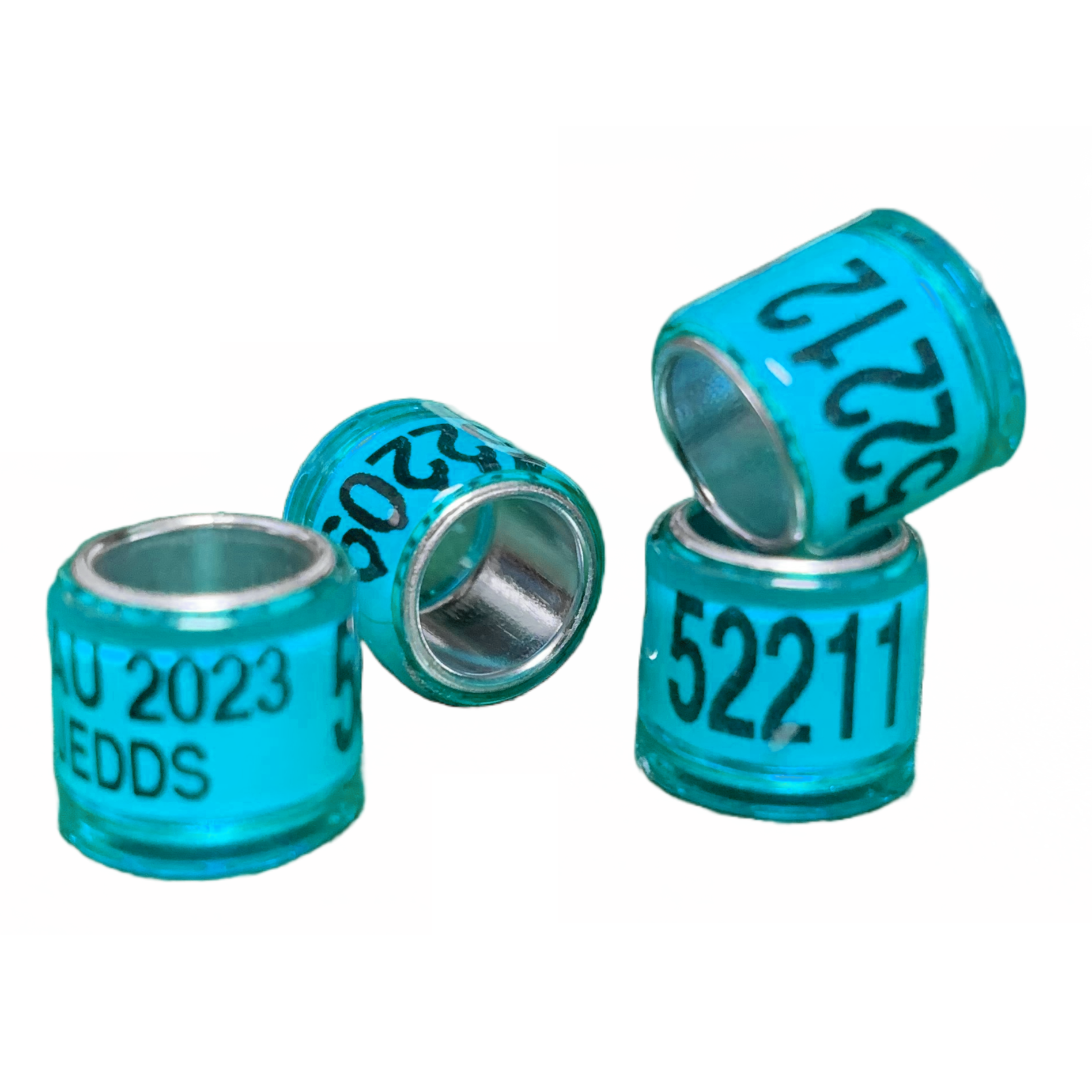 2025 SEAMLESS A.U. BANDS