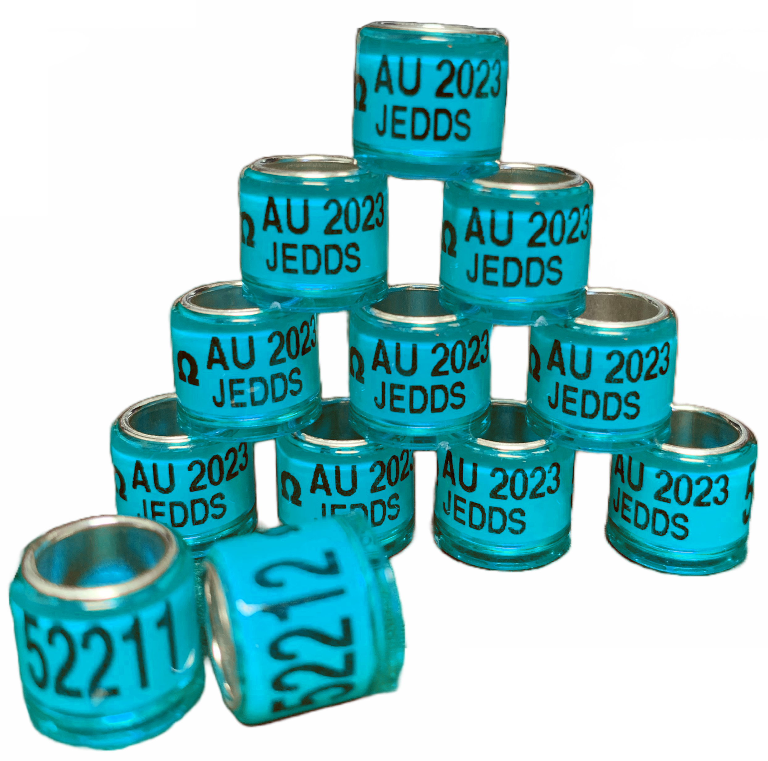 2025 SEAMLESS A.U. BANDS