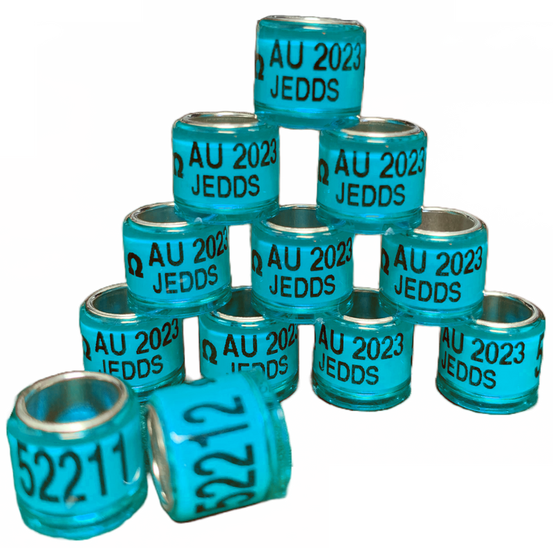 2025 SEAMLESS A.U. BANDS