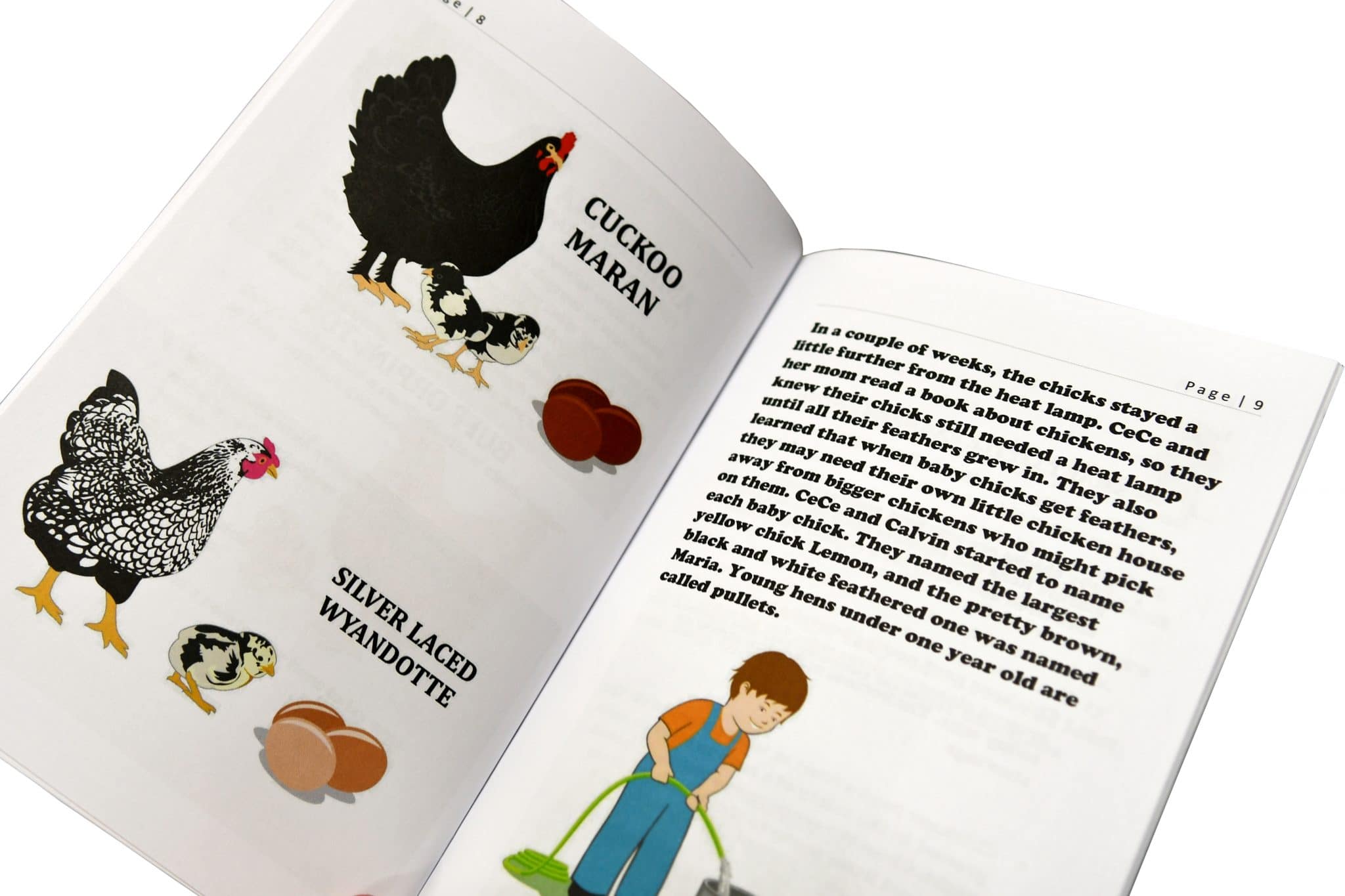 Little Farmers Learn to Raise Chickens Childrens Book