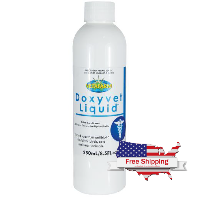 Doxycycline for Birds, Dogs, Cats & Rodents