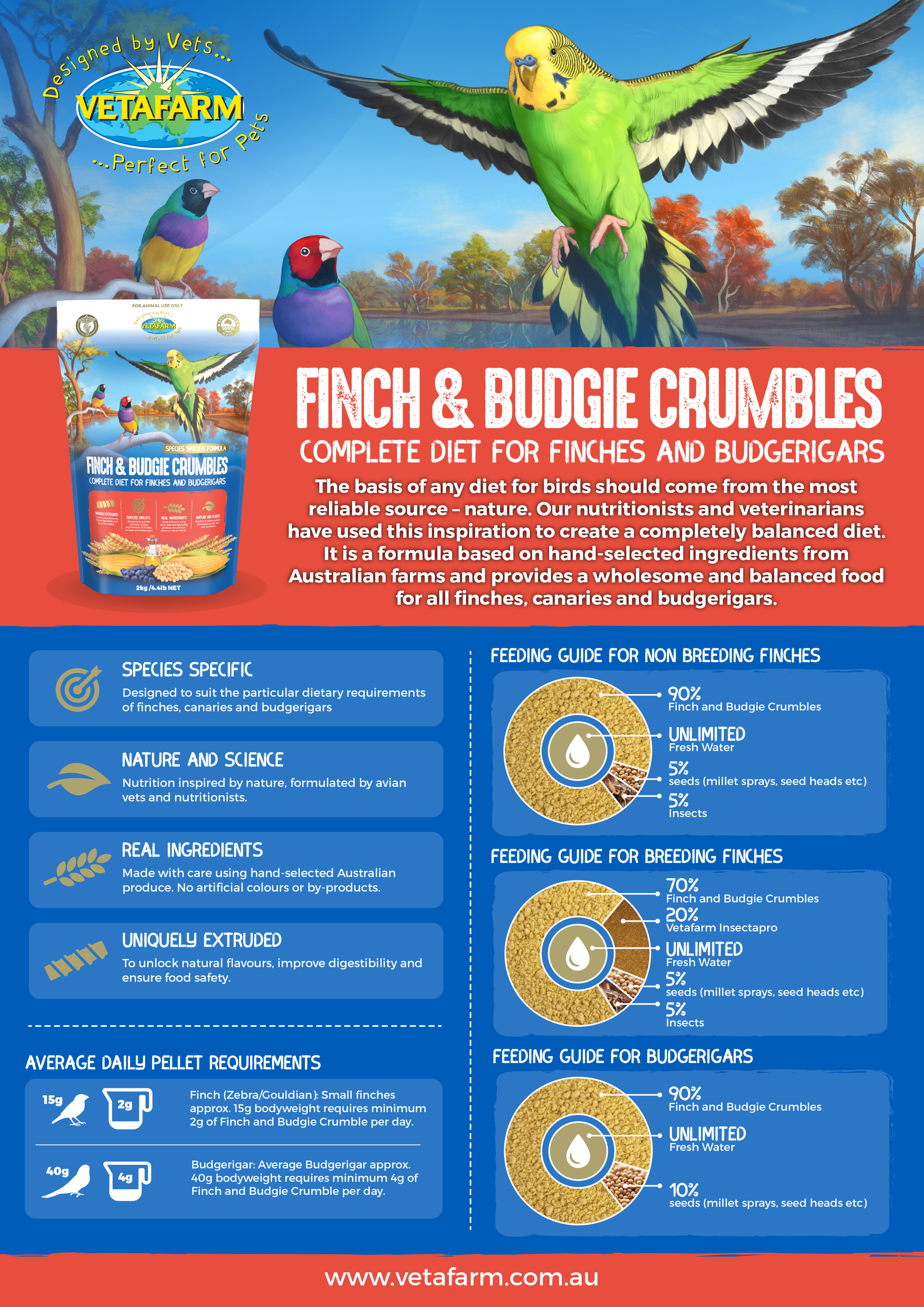 Optimal Food for Finches/Food for Budgies