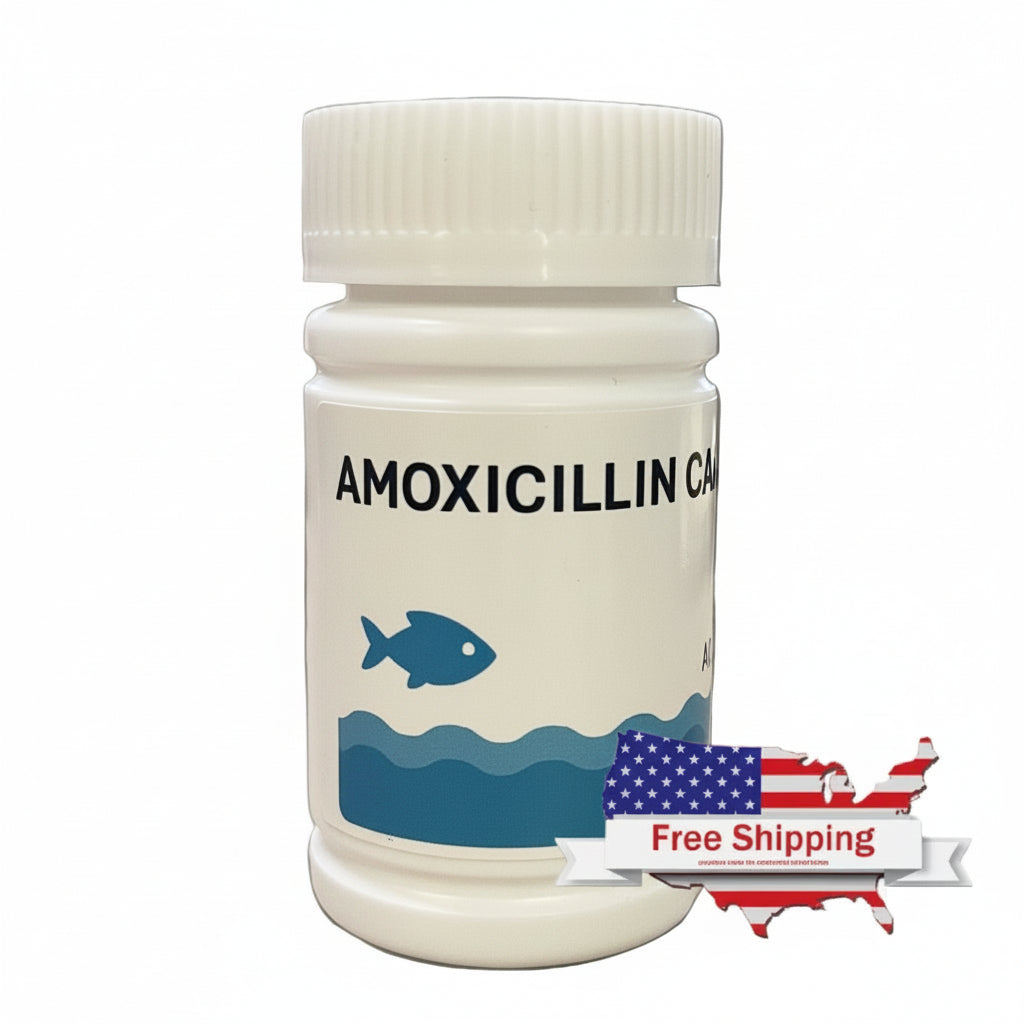 AMOXICILLIN CAPSULES