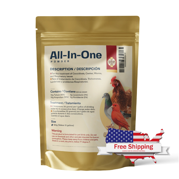 All-In-One Powder (Gener X)