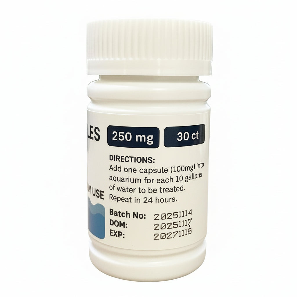 AMOXICILLIN CAPSULES