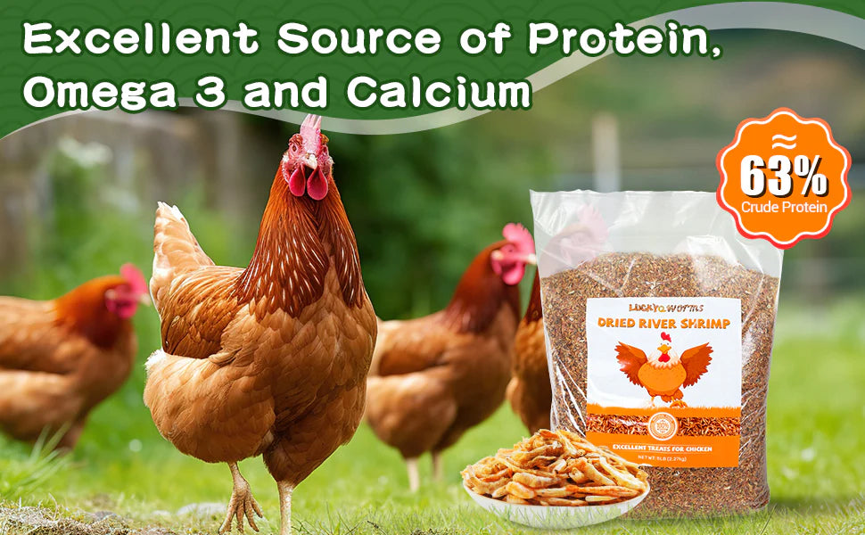 LuckyQworms 5lbs Freeze Dried River Shrimp – High-Protein, Omega-3 Treats for Chickens, Ducks, Birds & Turtles | All-Natural, Non-GMO Feed