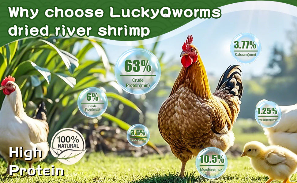LuckyQworms 5lbs Freeze Dried River Shrimp – High-Protein, Omega-3 Treats for Chickens, Ducks, Birds & Turtles | All-Natural, Non-GMO Feed