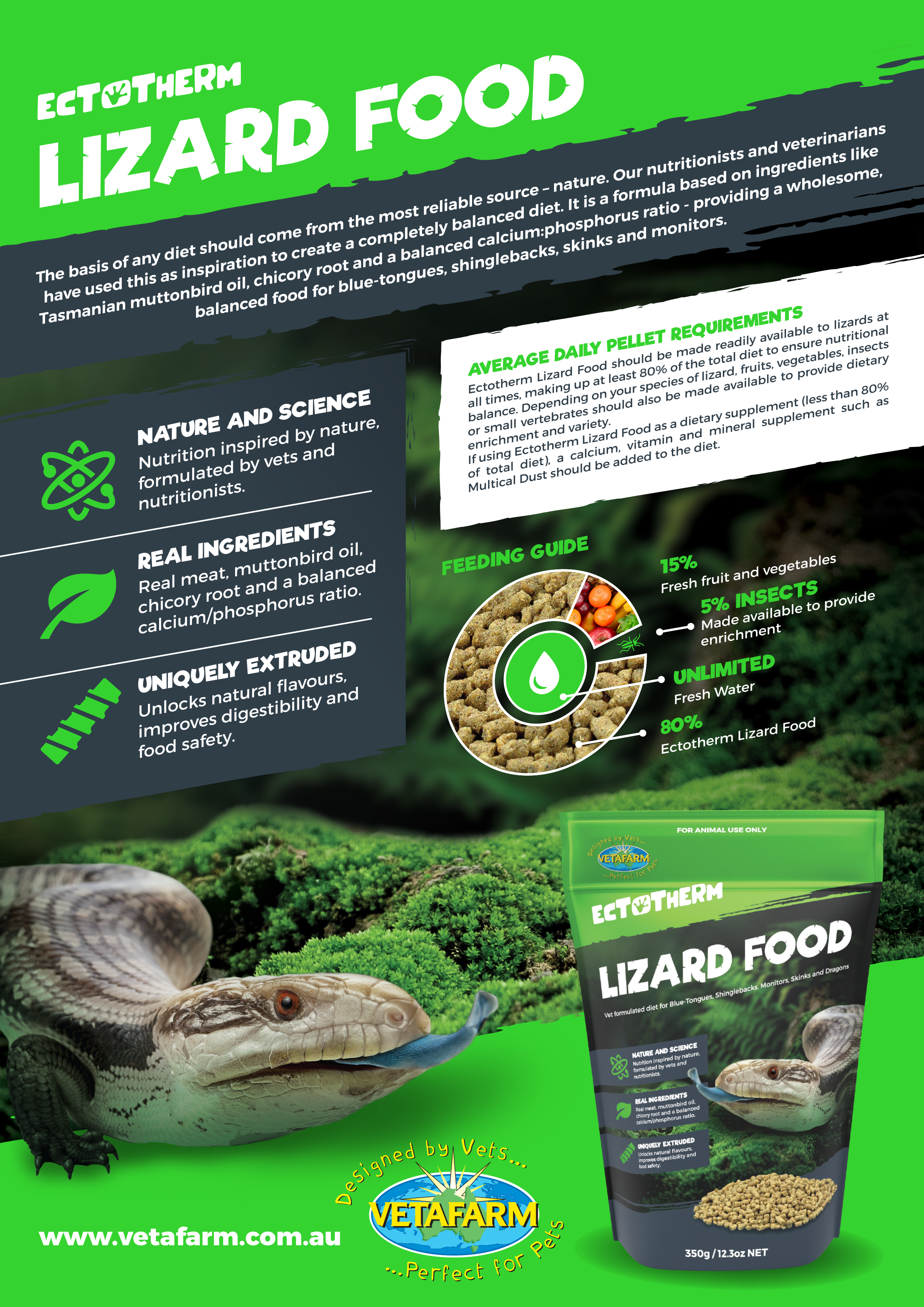 Lizard Food Guide