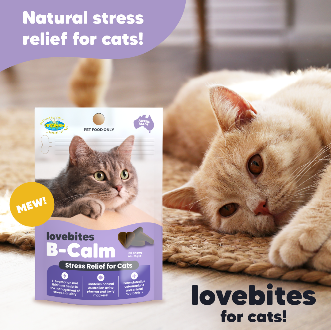 Lovebites B-Calm Chews (Vetafarm) Natural Stress Relief for Cats - Calm Your Anxious Cats