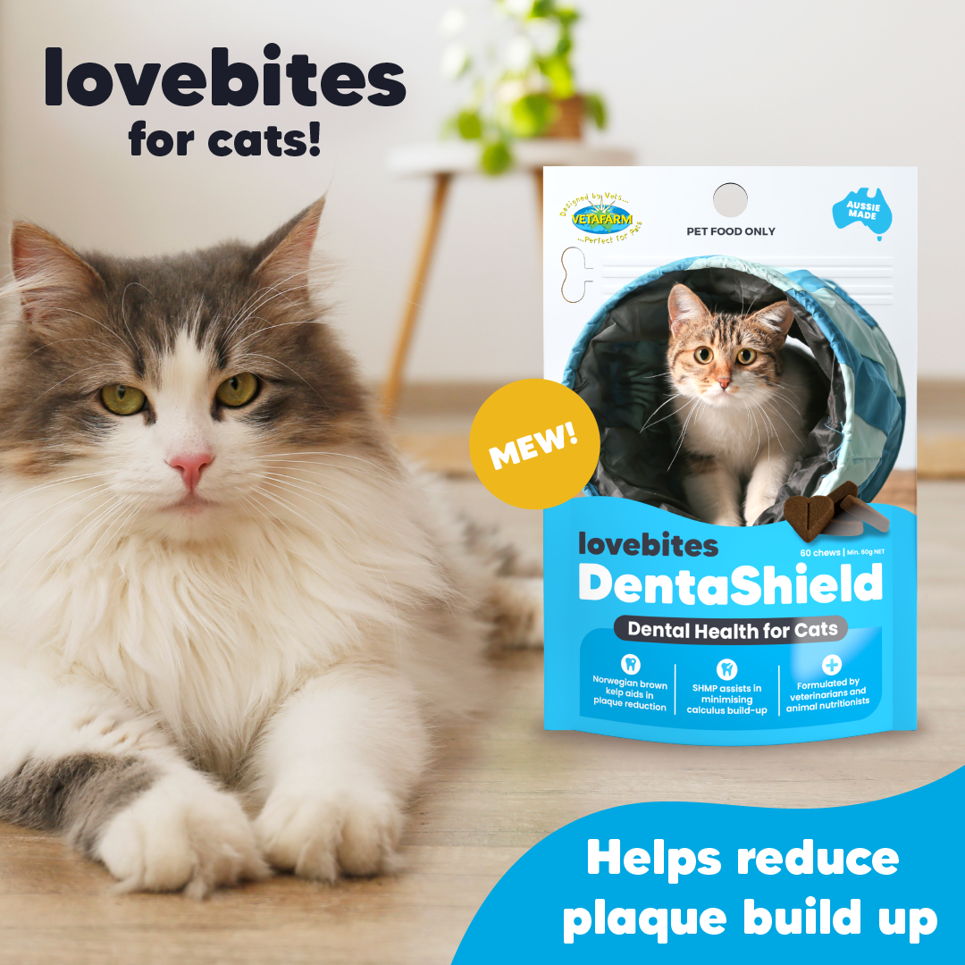Lovebites Dentashield Chews for Cats - Combat Plaque in Cats' Teeth! Tartar Build-up Too!
