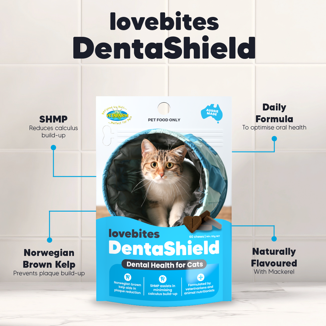 Lovebites Dentashield Chews for Cats - Combat Plaque in Cats' Teeth! Tartar Build-up Too!