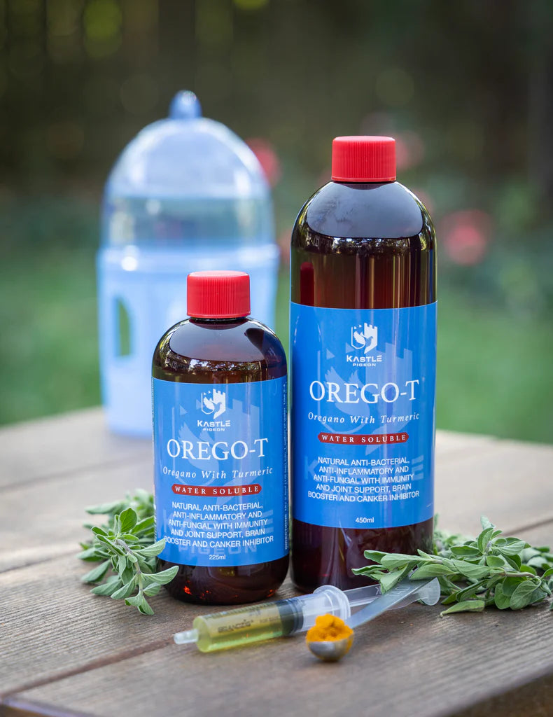 Orego-T 10% Oregano with Turmeric for Pigeons | Natural Gut Health & Immune Support in Water