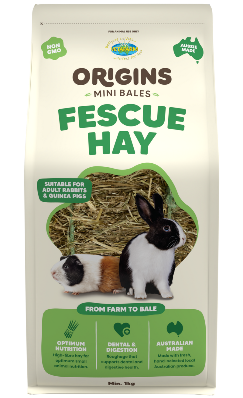 Origins Fescue Hay Mini Bale (Vetafarm) Premium Hay for Rabbits