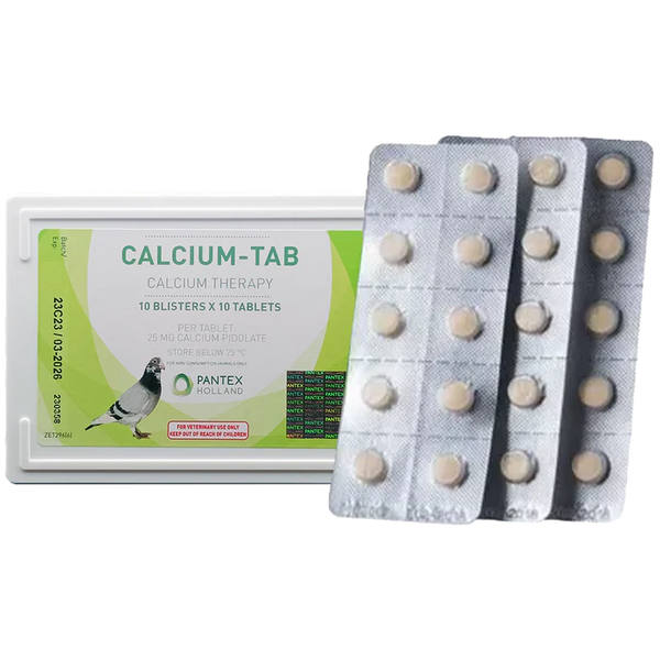 Pantex Calcium-Tab 100 Tablets