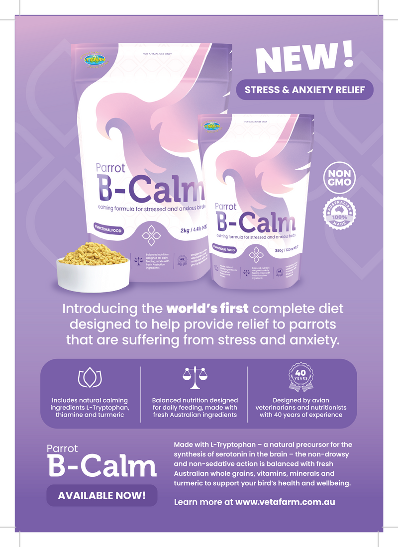 Parrot B-Calm: Stress & Anxiety Relief in a Complete Diet (VetaFarm)