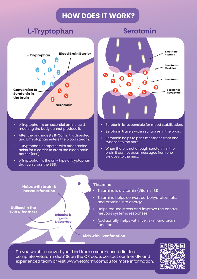 Parrot Anxiety Relief Infographic
