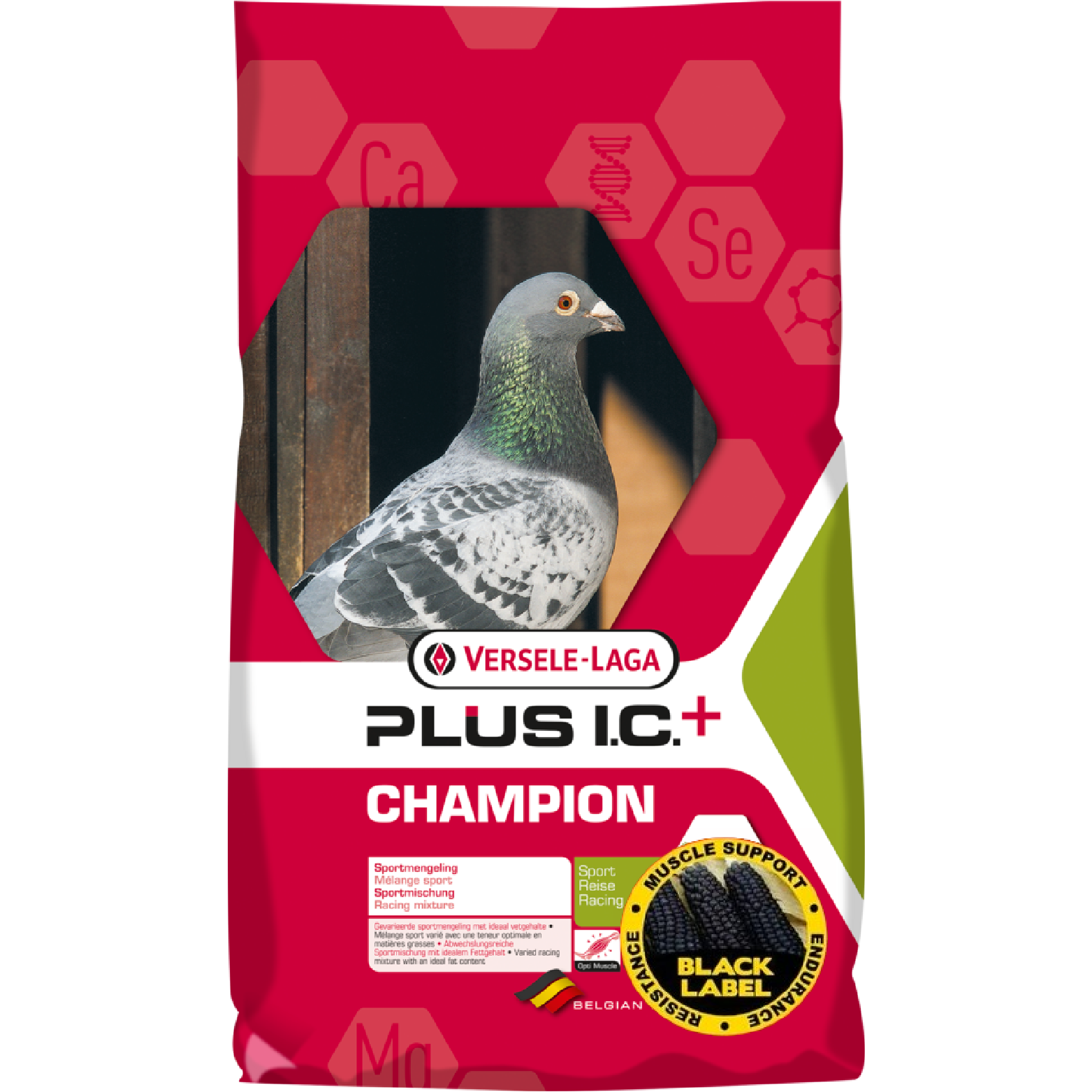 Black Label Champion Pigeon Feed