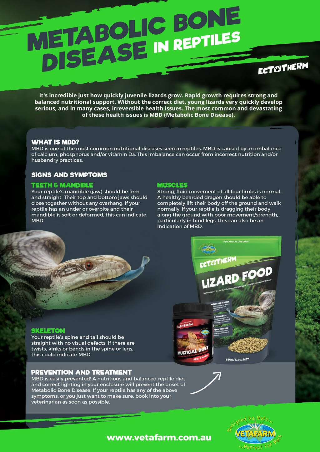 Ectotherm Multical Dust (Vetafarm) Reptile Supplement with Calcium