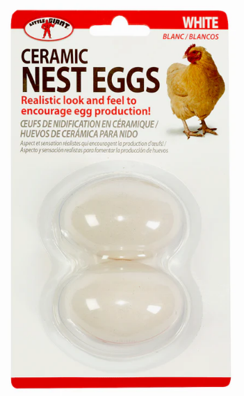 Ceramic Nest Eggs – Realistic Egg Decoys for Hens, 2-Pack