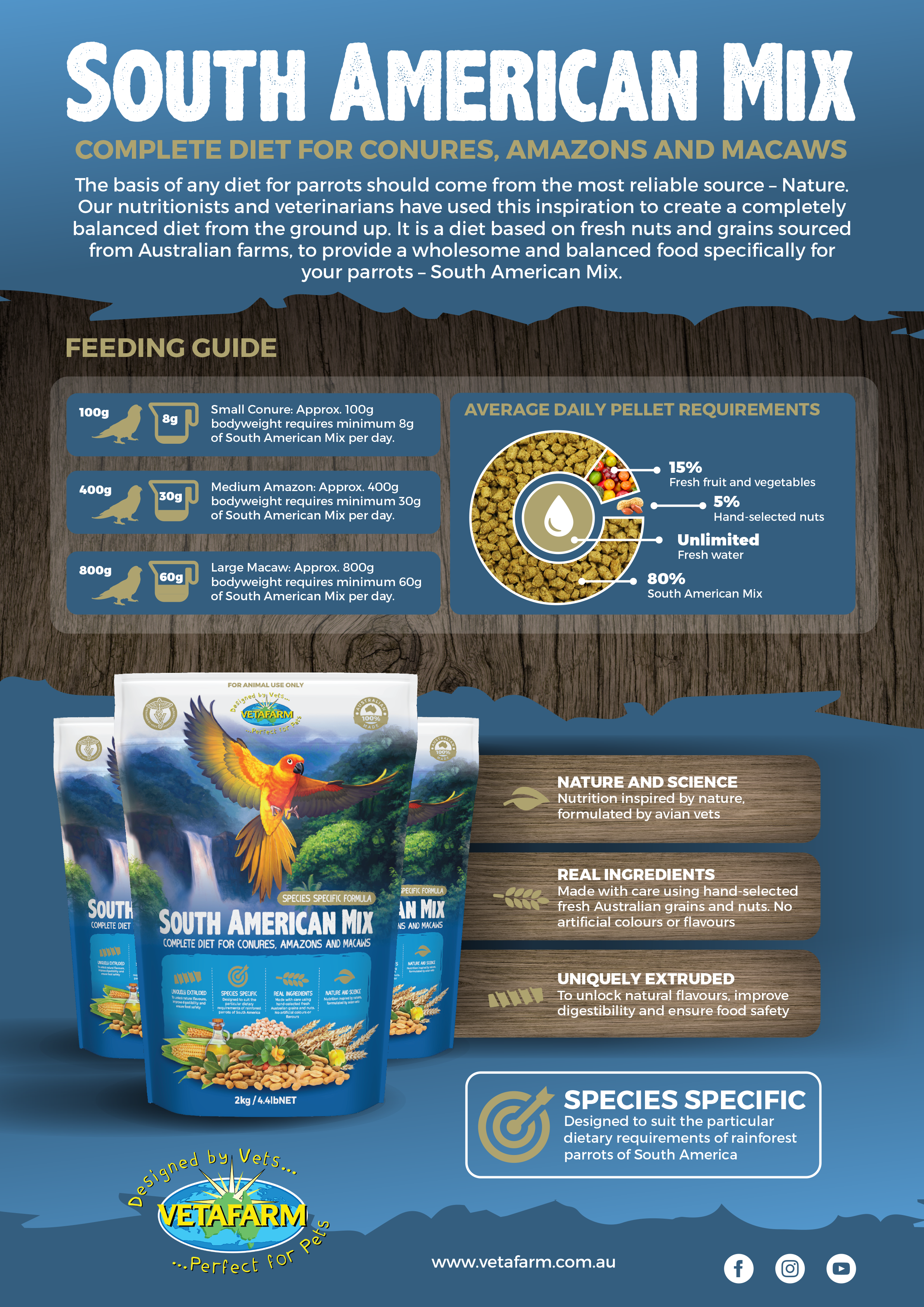 Premium Parrot Food for Optimal Feather Development
