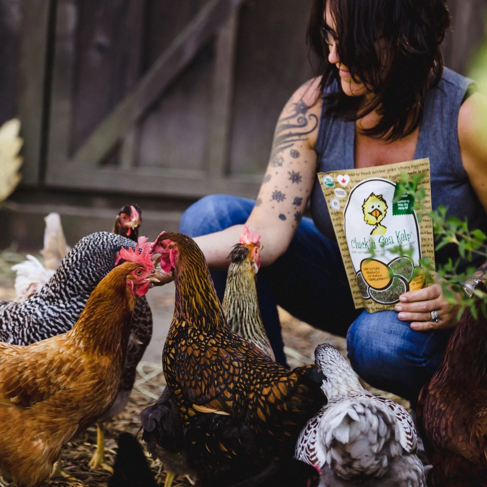 Cluck'n Sea Kelp Poultry Treats