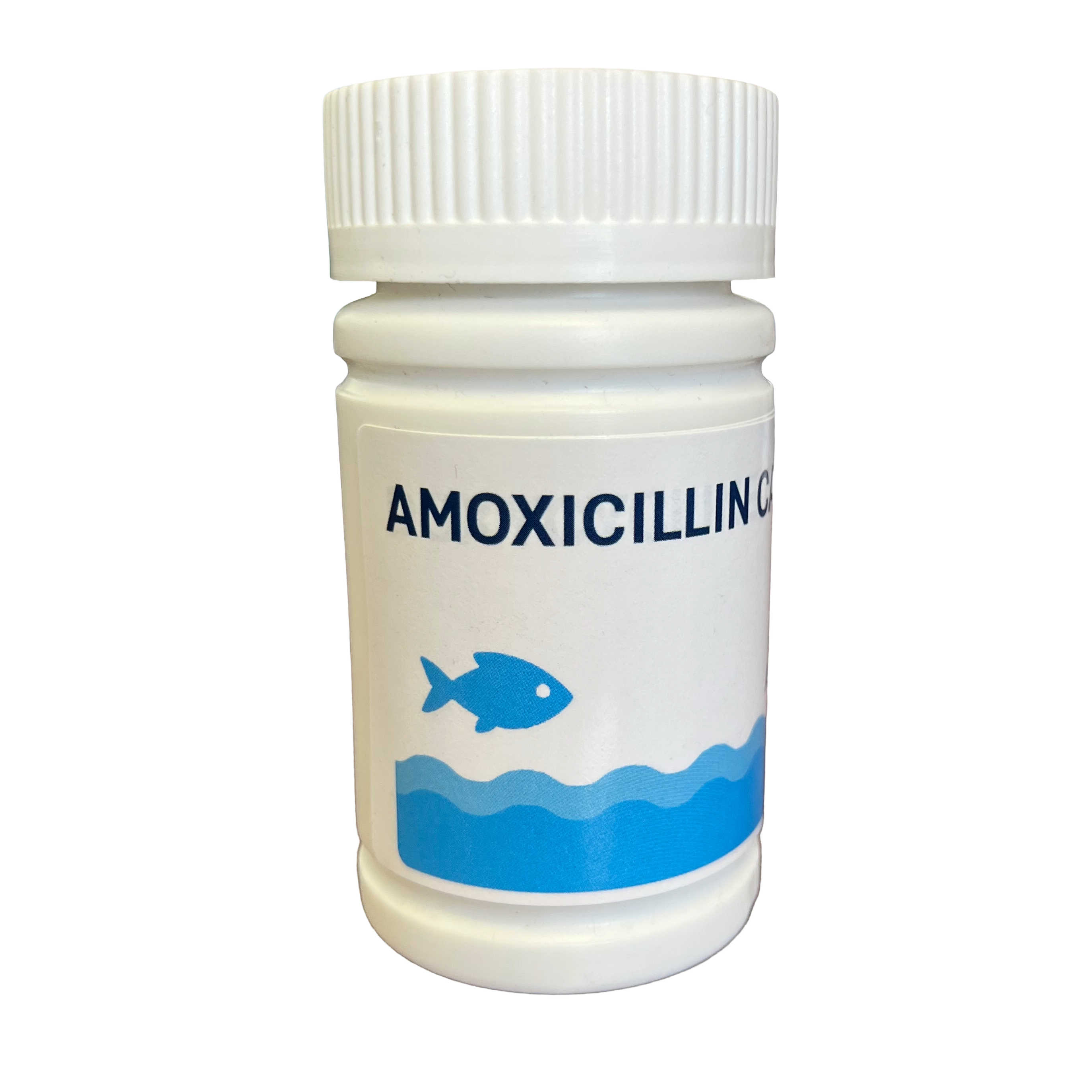 AMOXICILLIN CAPSULES
