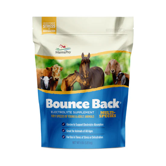 Manna Pro Bounce Back® – Electrolyte Supplement for Rehydration & Stress Relief in Animals