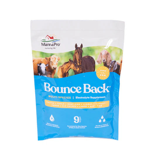 Manna Pro Bounce Back® – Electrolyte Supplement for Rehydration & Stress Relief in Animals