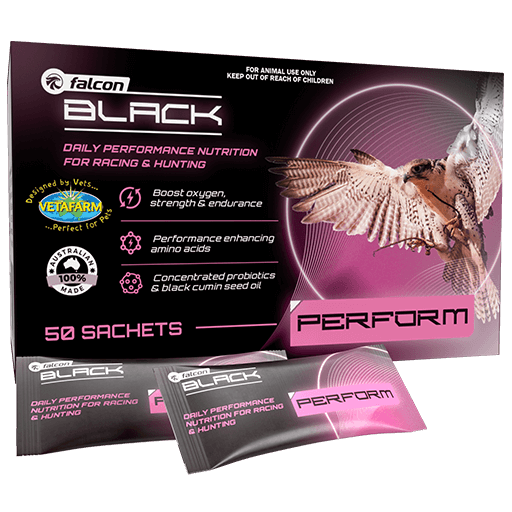 Falcon Black Perform - Enhance Falcon Performance, Endurance & Health
