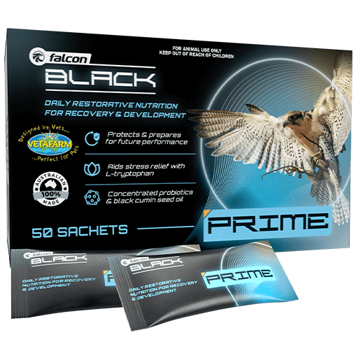 Falcon Black Prime - Stress Relief & Recovery Support for Falcons