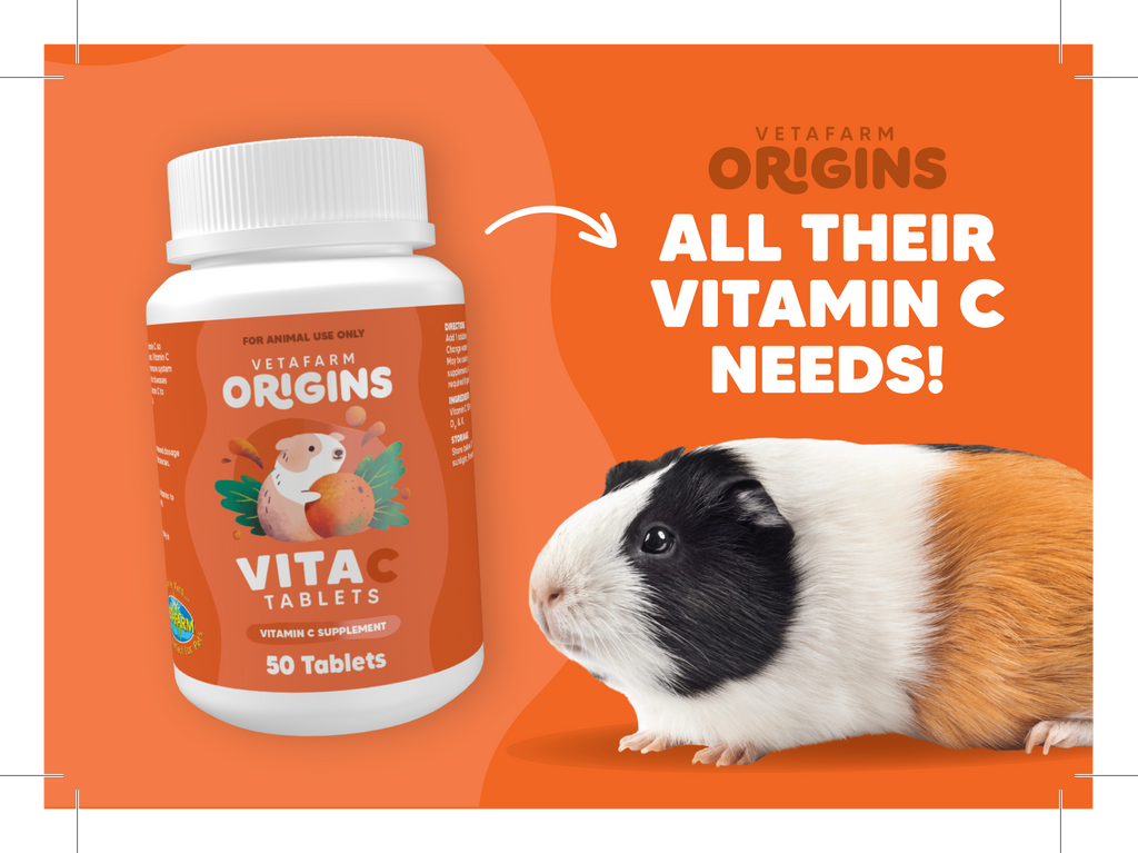Vitamin c tablets hot sale for guinea pigs