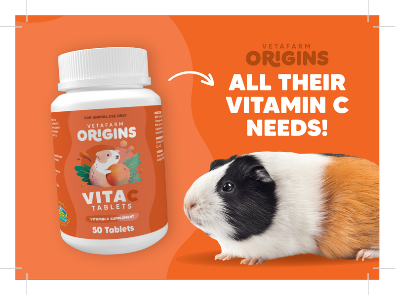 Origins Vita-C Tablets - Supplement for guinea pigs (Vetafarm)