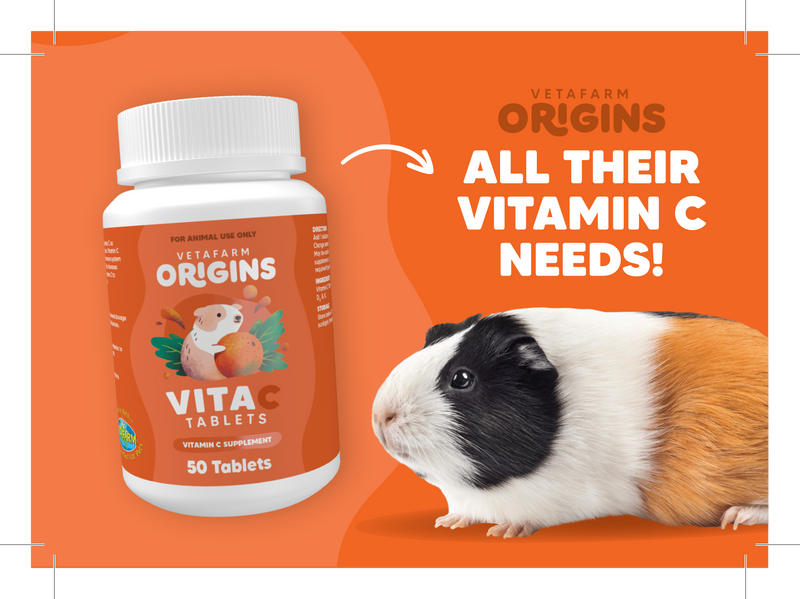 Vita C Tablets Vetafarm Guinea Pig Vitamin C Supplement