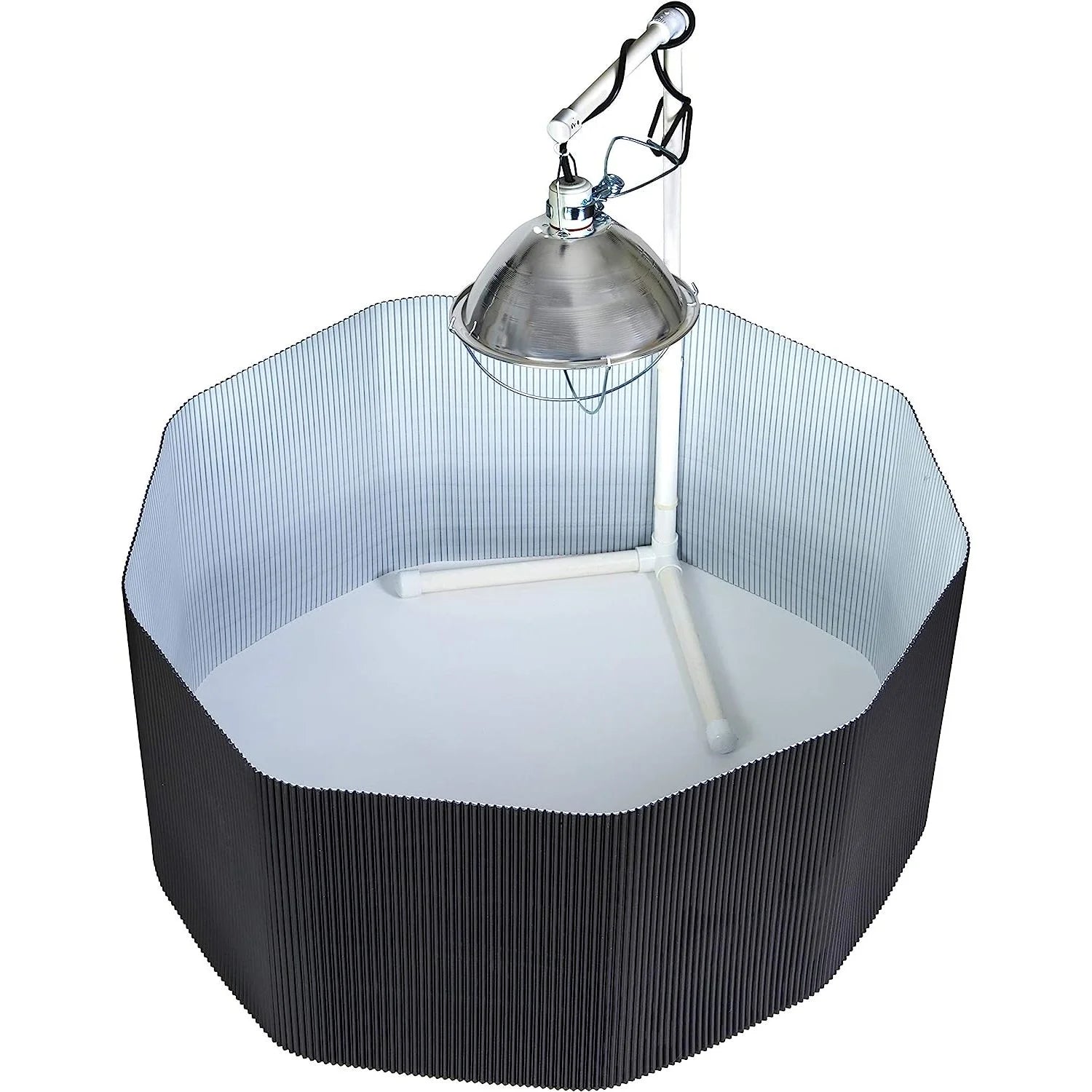 Chick Brooder Kit Complete Kit for Raising and Brooding Chicks