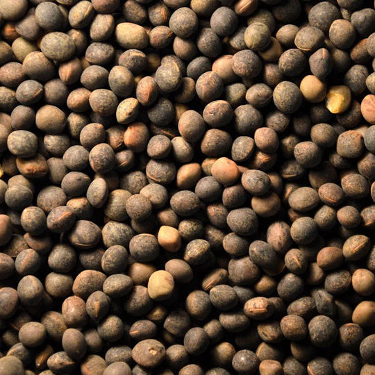 VETCH PEAS (Leach Grain & Milling)