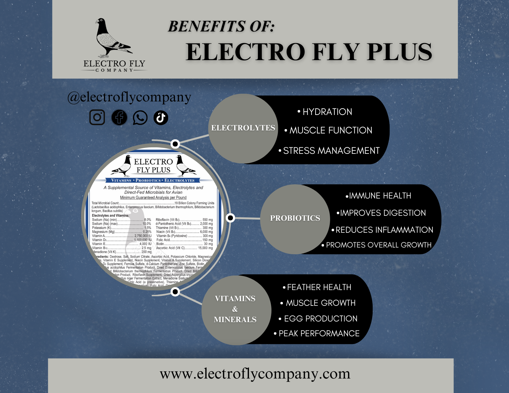 Electro Fly Plus Avian Electrolytes & Probiotics Supplement | Vitamins & Minerals for Pigeons and Birds | Hydration, Immune & Performance Support