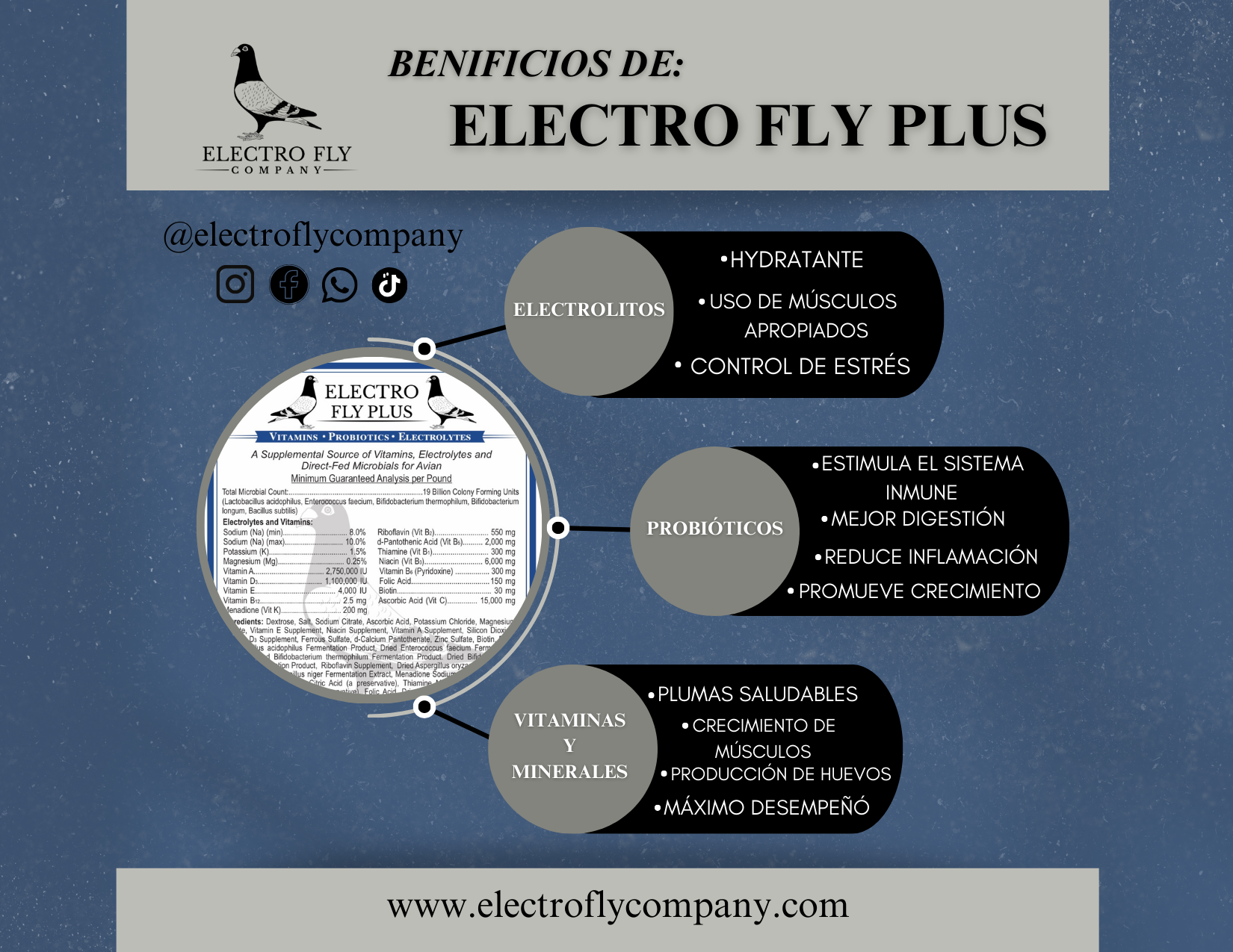 Electro Fly Plus Avian Electrolytes & Probiotics Supplement | Vitamins & Minerals for Pigeons and Birds | Hydration, Immune & Performance Support