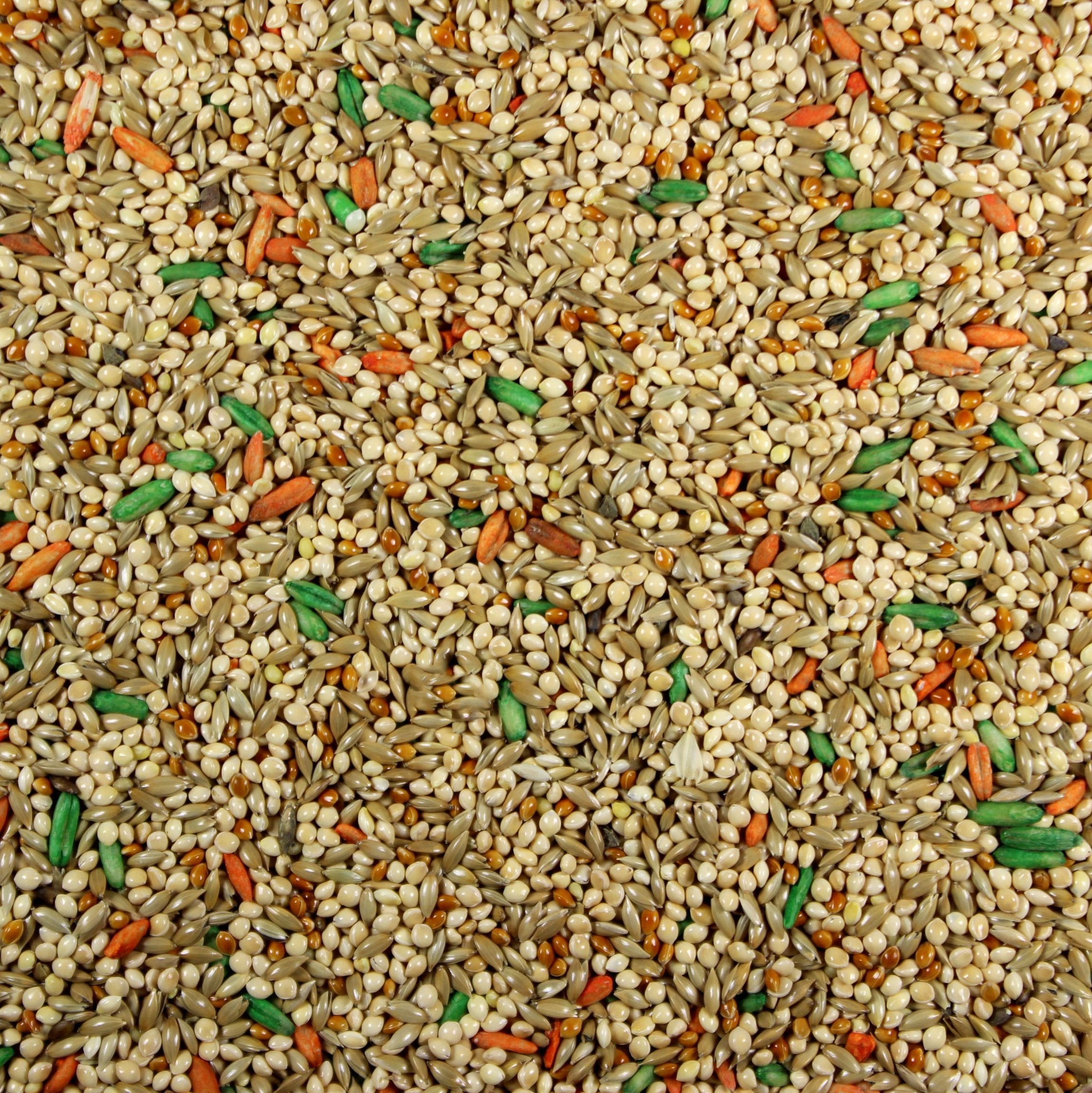 Parakeet Plus (Leach Grain & Milling) - Parakeet Seed Mix