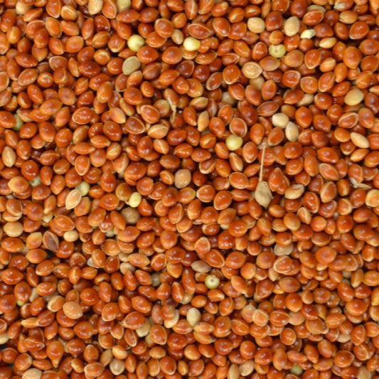RED MILLET