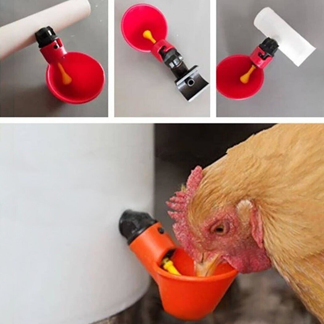 Automatic Water Drinking Cups - Water Feeder for Poultry and Pigeons (10 pcs.)