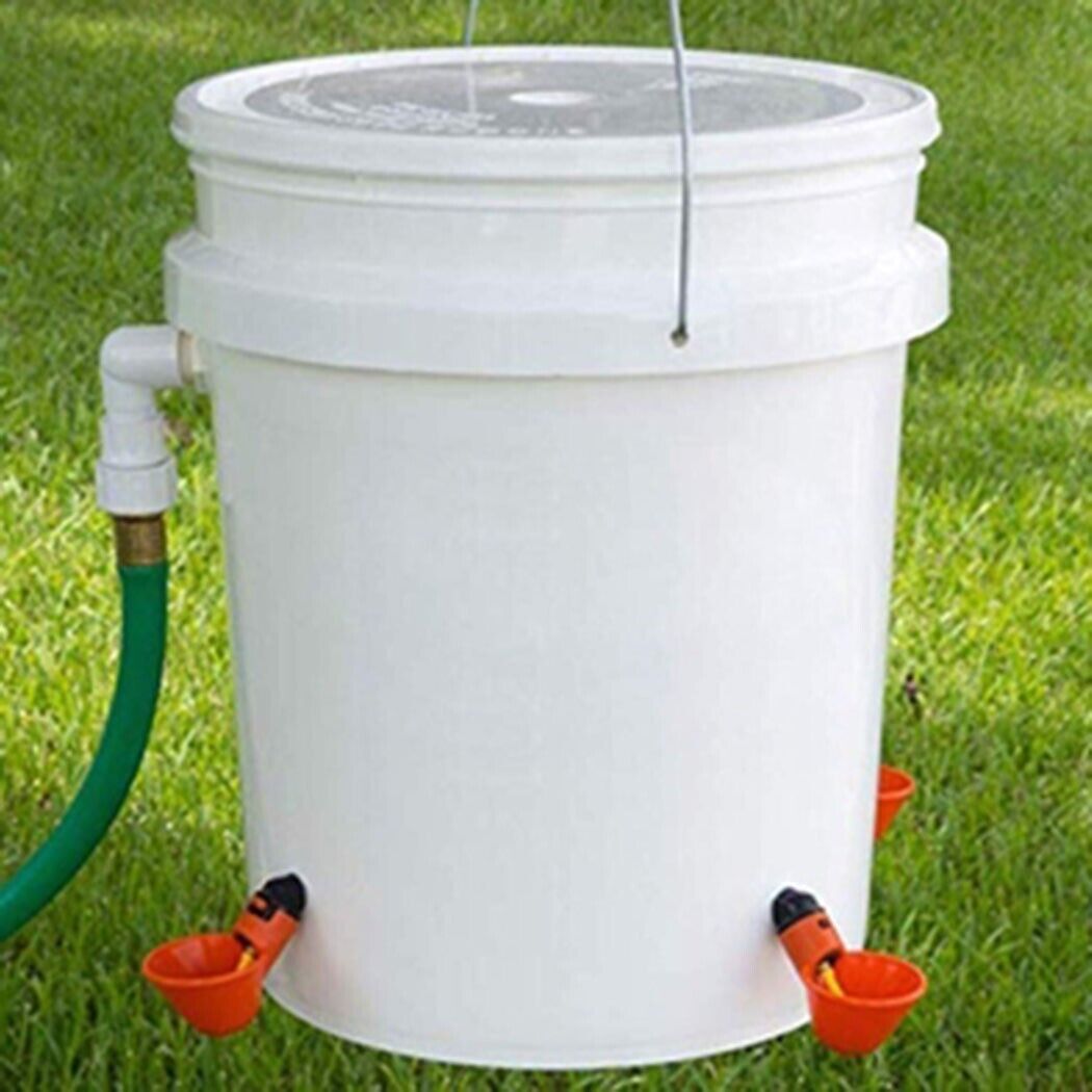 Automatic Water Drinking Cups - Water Feeder for Poultry and Pigeons (10 pcs.)