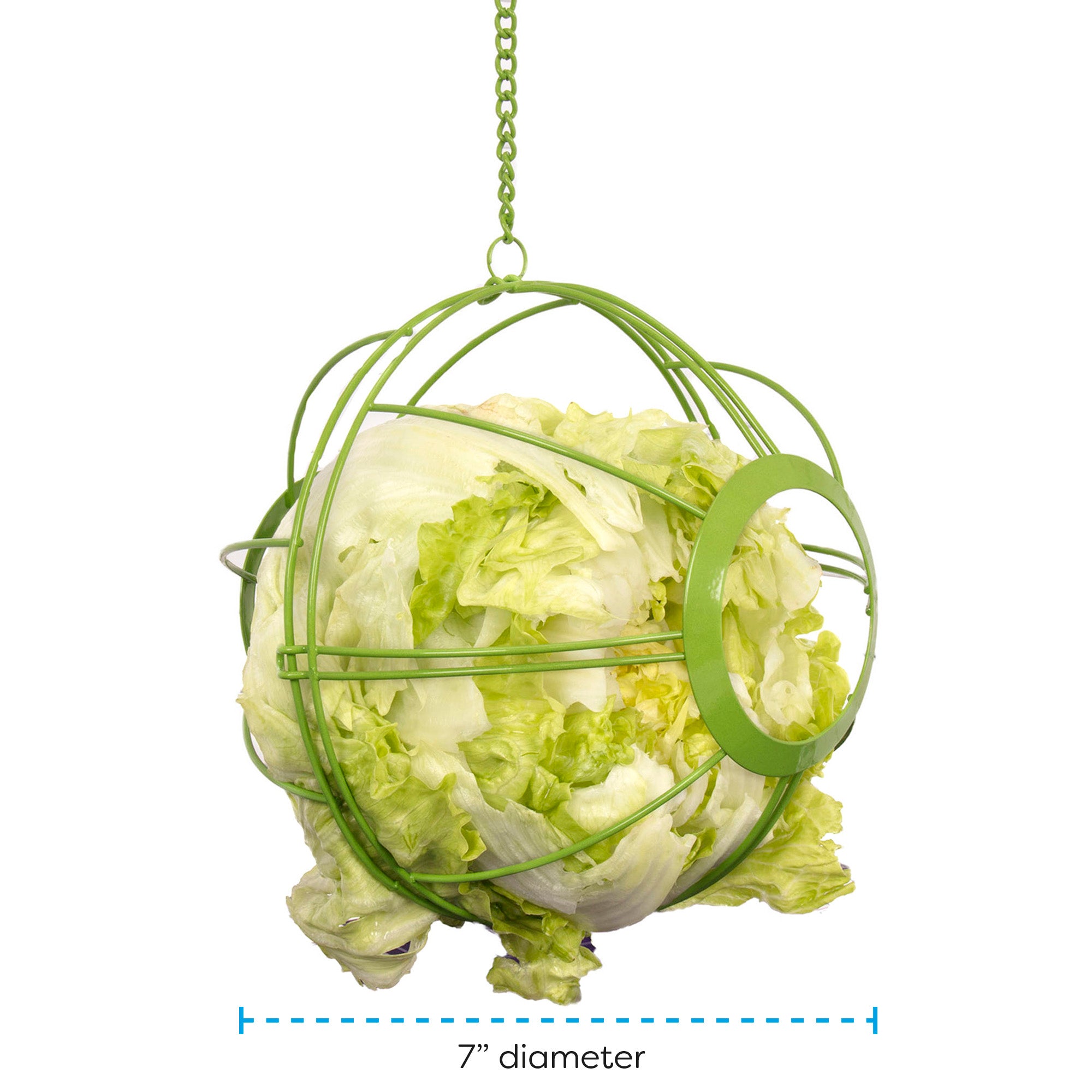 Chick-N-Veggie Ball | Rolling Treat Dispenser for Leafy Greens