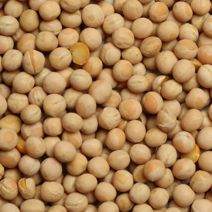 Canadian Peas for Racing Pigeons