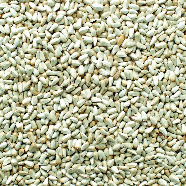 where to buy safflower seeds for planting Safflower (Leach Grain & Milling) Premium Safflower Bird Seed 50 LBS
